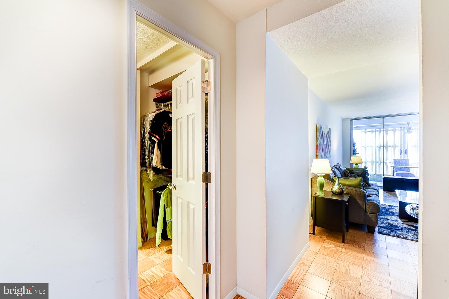1311 Delaware Avenue Southwest, Unit S145 Washington, DC 20024 - Photo 5 of 22 Entry hall, with large walk through closet to bath