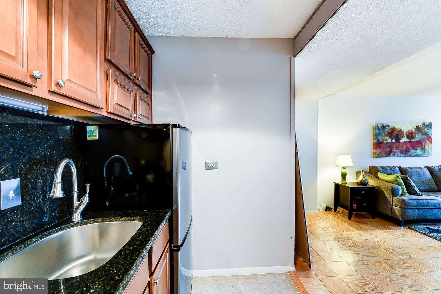 1311 Delaware Avenue Southwest, Unit S145 Washington, DC 20024 - Photo 9 of 22 Nice under counter sink with disposal