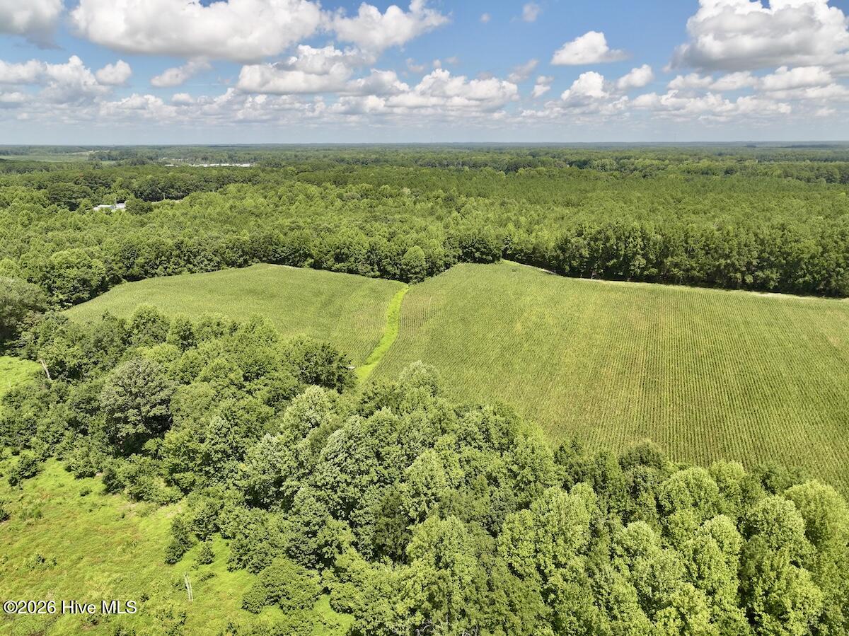 Lot 3 Mobley Road Lucama, NC 27851 - Photo 10 of 34 10
