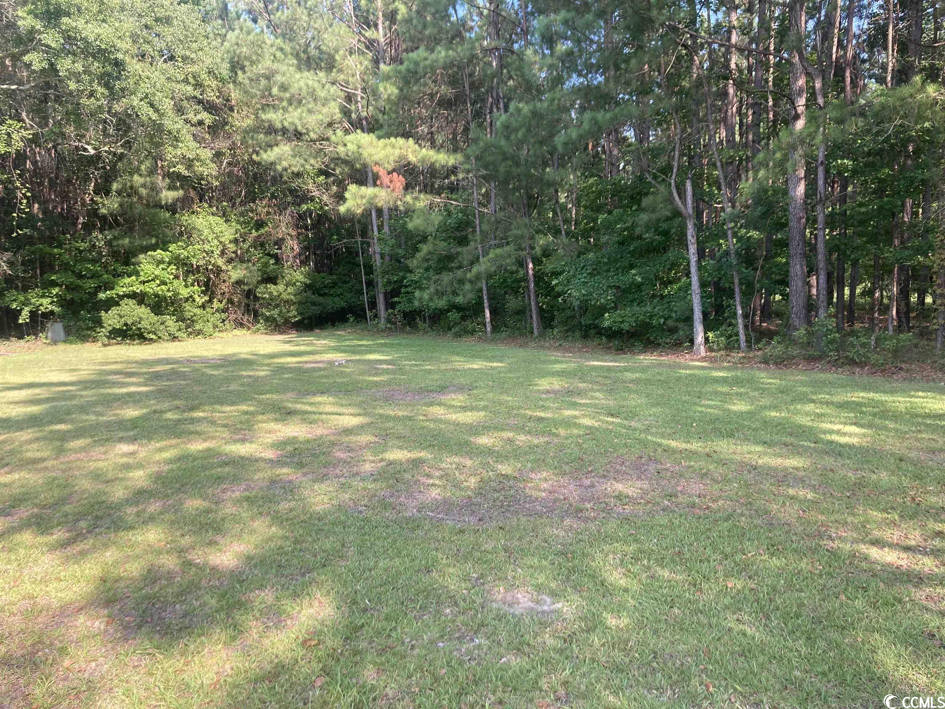 216 Marsh Road Hemingway, SC 29554 - Photo 24 of 28