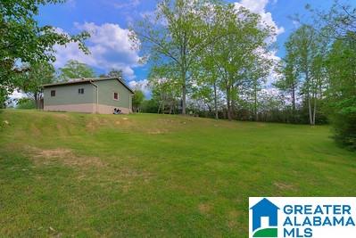 369 Glenn Chapel Road Gardendale, AL 35071 - Photo 15 of 34
