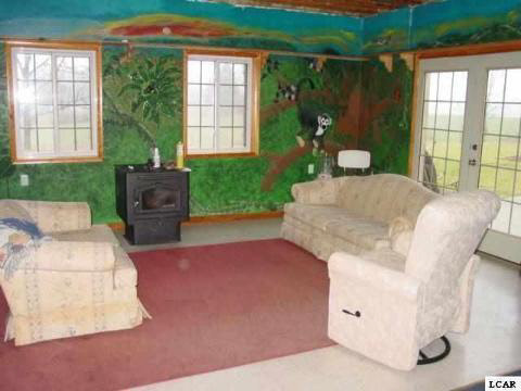 2537 Service Road Clinton, MI 49236 - Photo 11 of 13 20105976-10.JPG