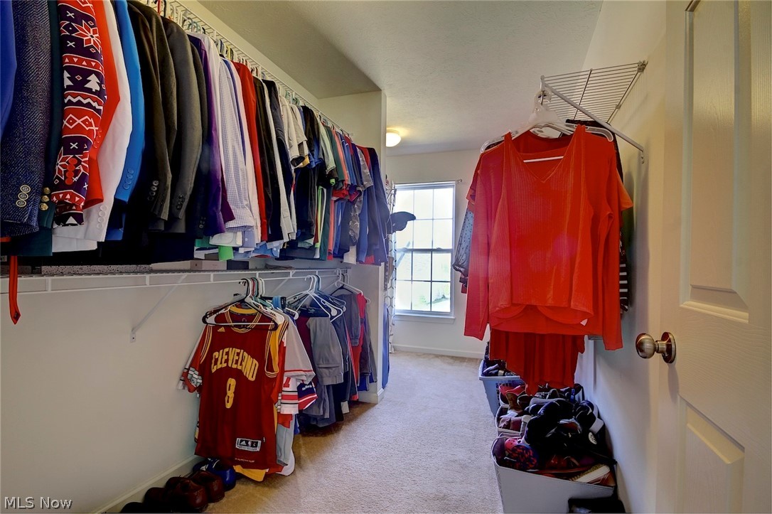 5303 Otten Road North Ridgeville, OH 44039 - Photo 20 of 35 Gallery Image 20