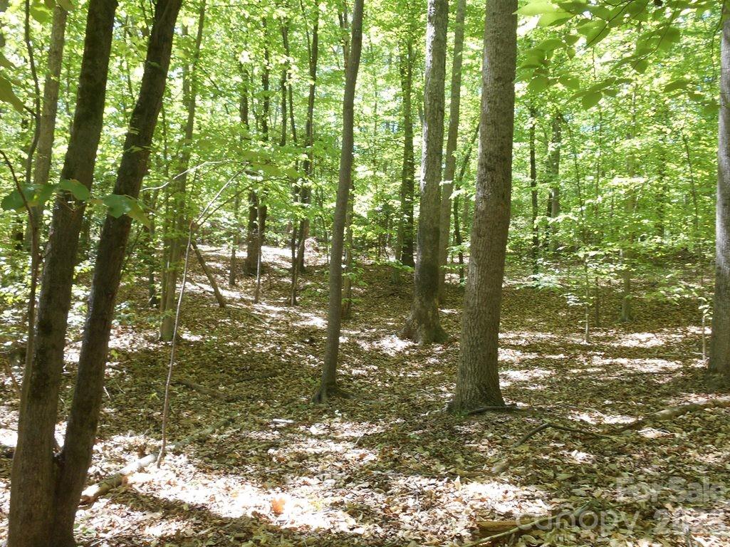 0 Tin Mine Road, Unit 1 Lincolnton, NC 28092 - Photo 10 of 13 Gallery Image 10