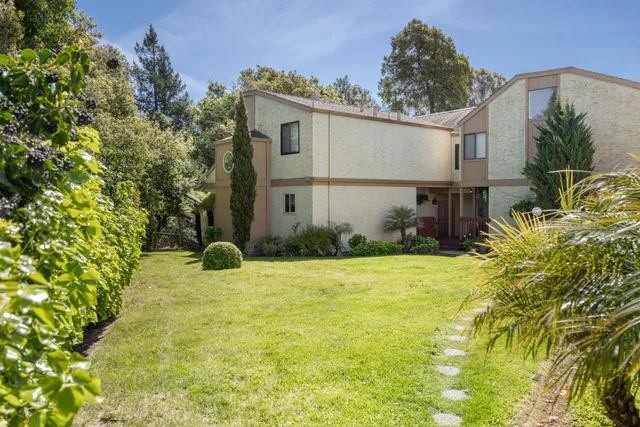 a backyard of a house with plants and trees