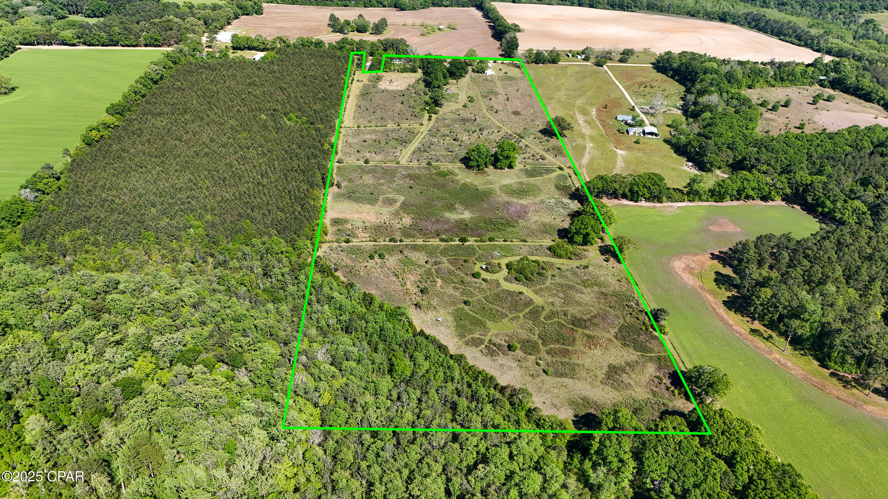 1116 New Bayview Church Road Bonifay, FL 32425 - Photo 2 of 24