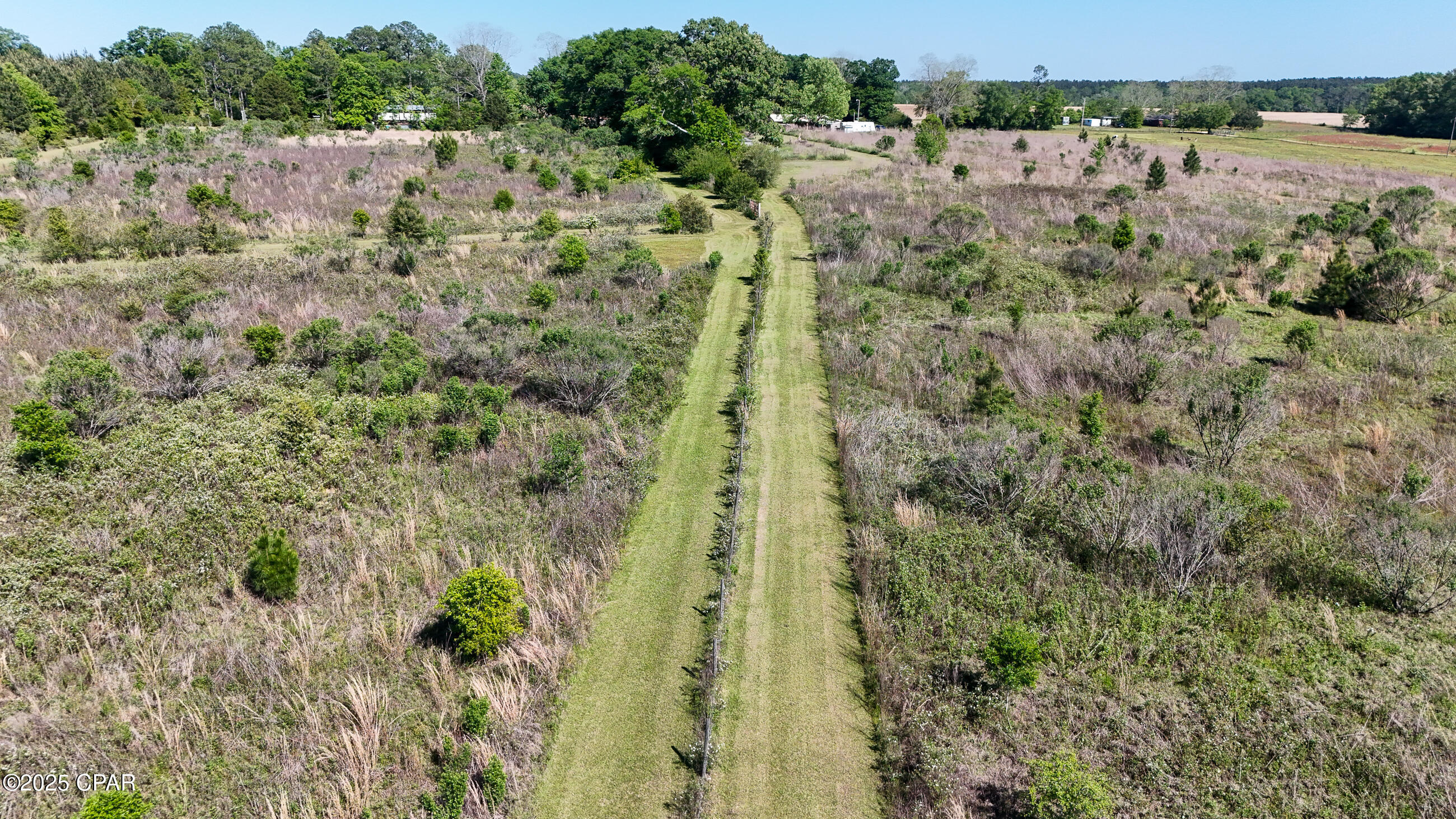 1116 New Bayview Church Road Bonifay, FL 32425 - Photo 4 of 24