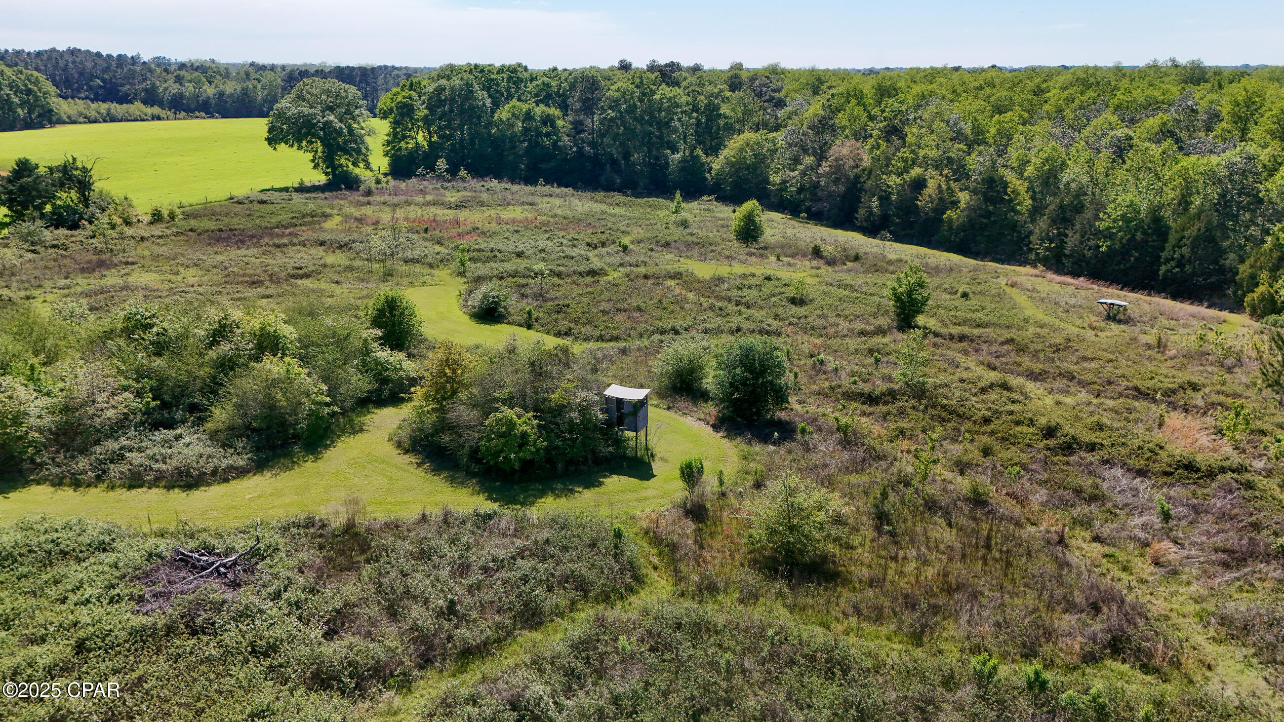 1116 New Bayview Church Road Bonifay, FL 32425 - Photo 5 of 24