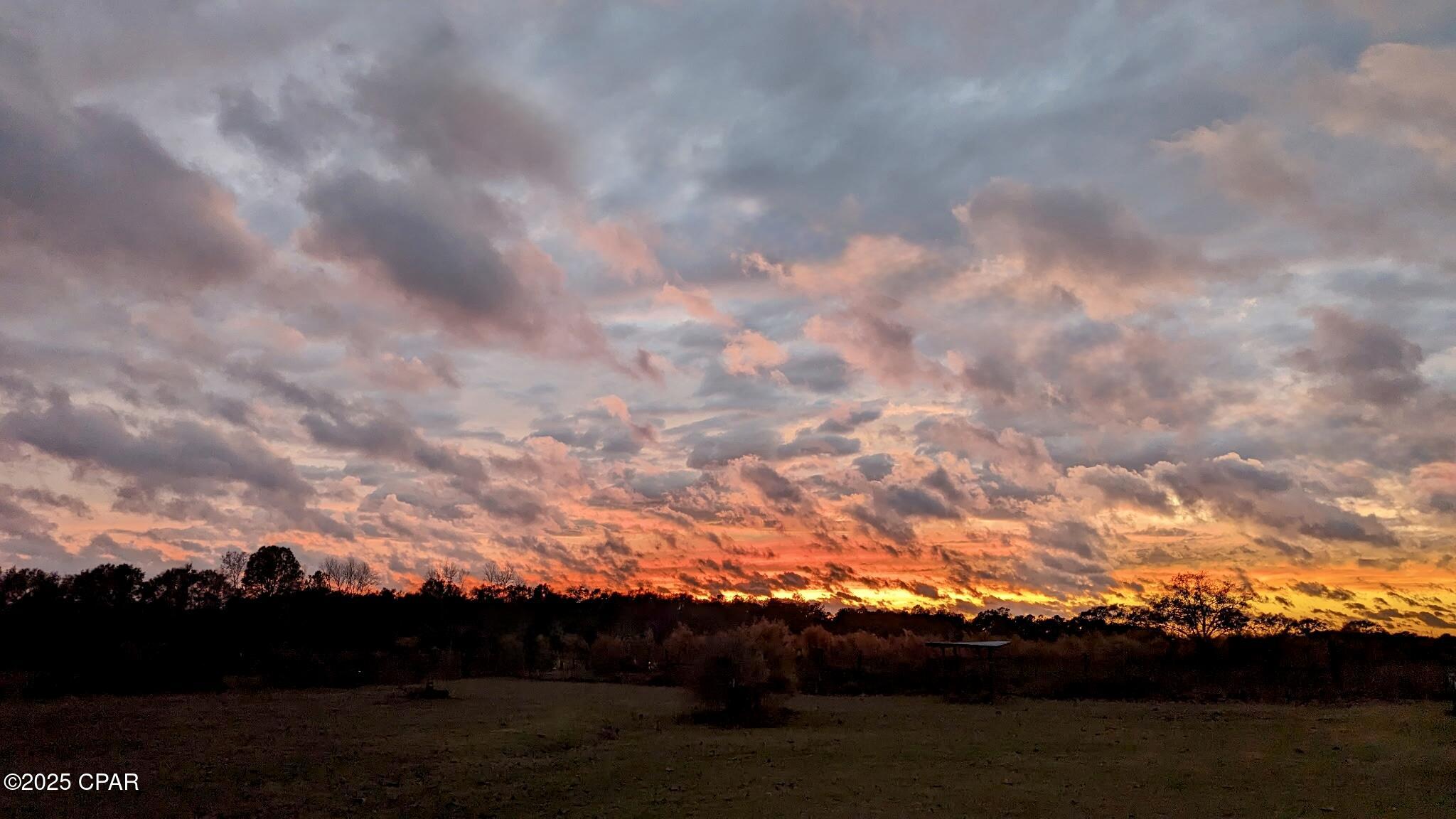 1116 New Bayview Church Road Bonifay, FL 32425 - Photo 8 of 24