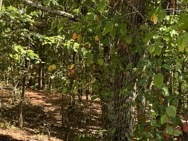 $100,000 | 225 Prospectors Way, Jasper, TN 37347