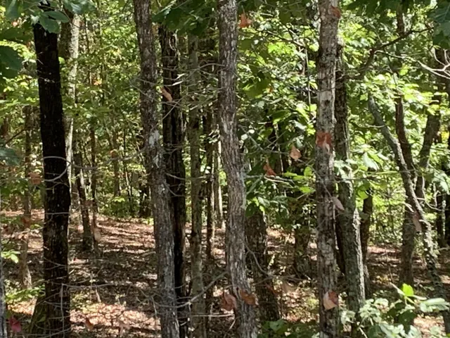 $100,000 | 225 Prospectors Way, Jasper, TN 37347