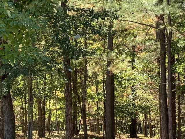 $100,000 | 225 Prospectors Way, Jasper, TN 37347