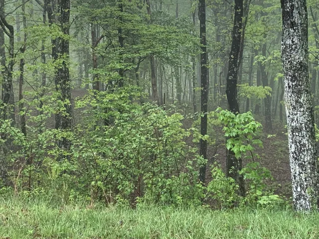 $100,000 | 225 Prospectors Way, Jasper, TN 37347