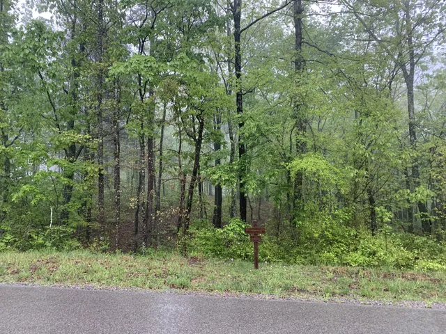 $100,000 | 225 Prospectors Way, Jasper, TN 37347