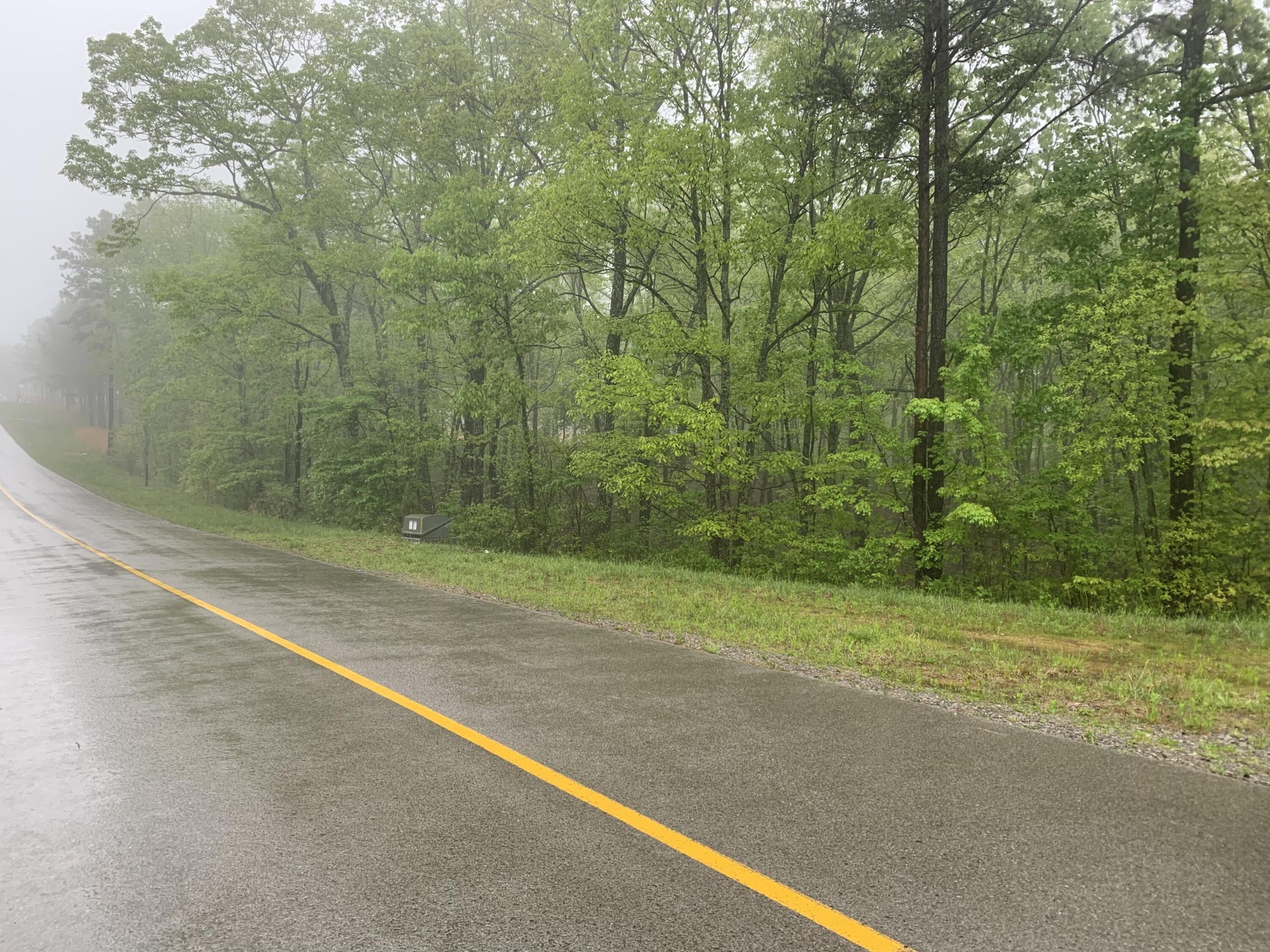 225 Prospectors Way Jasper, TN 37347 - Photo 6 of 29