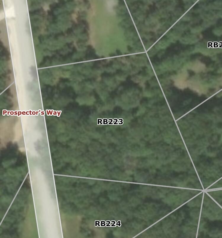 225 Prospectors Way Jasper, TN 37347 - Photo 8 of 29