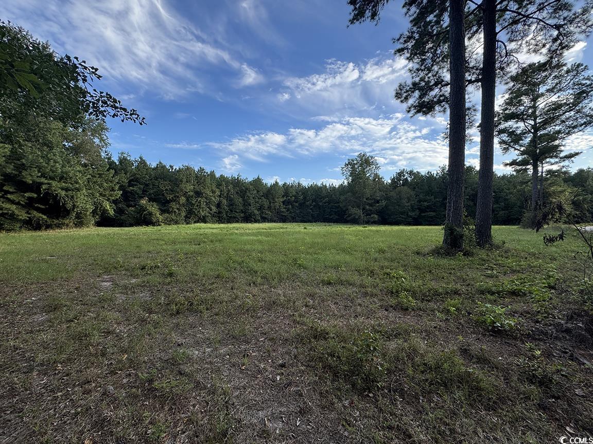 View of cleared 2 acres with a wooded view