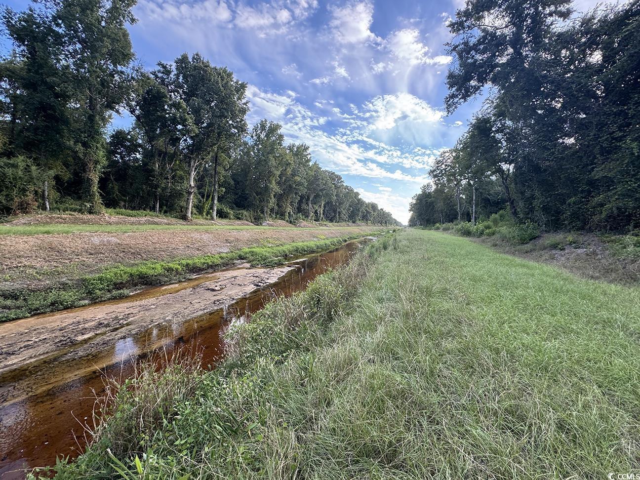 Tbd Tbd Dead Ridge Road Nichols, SC 29581 - Photo 2 of 7