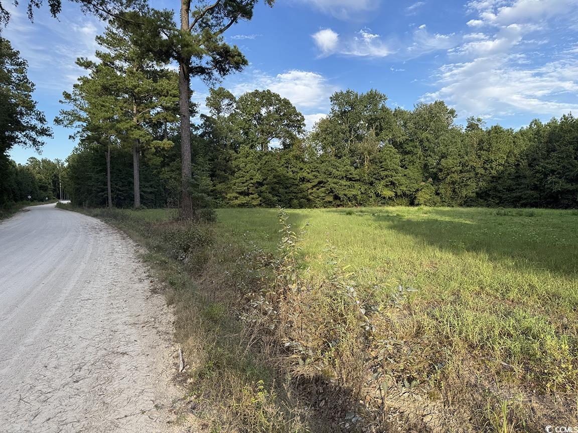 Tbd Tbd Dead Ridge Road Nichols, SC 29581 - Photo 6 of 7