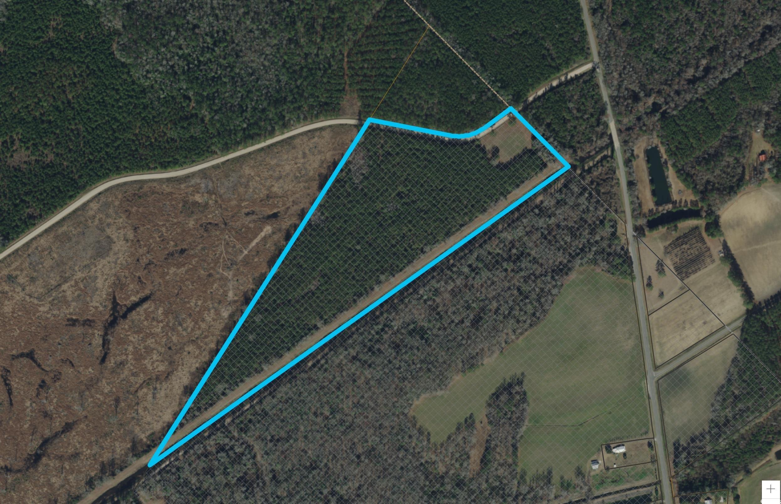 Tbd Tbd Dead Ridge Road Nichols, SC 29581 - Photo 7 of 7