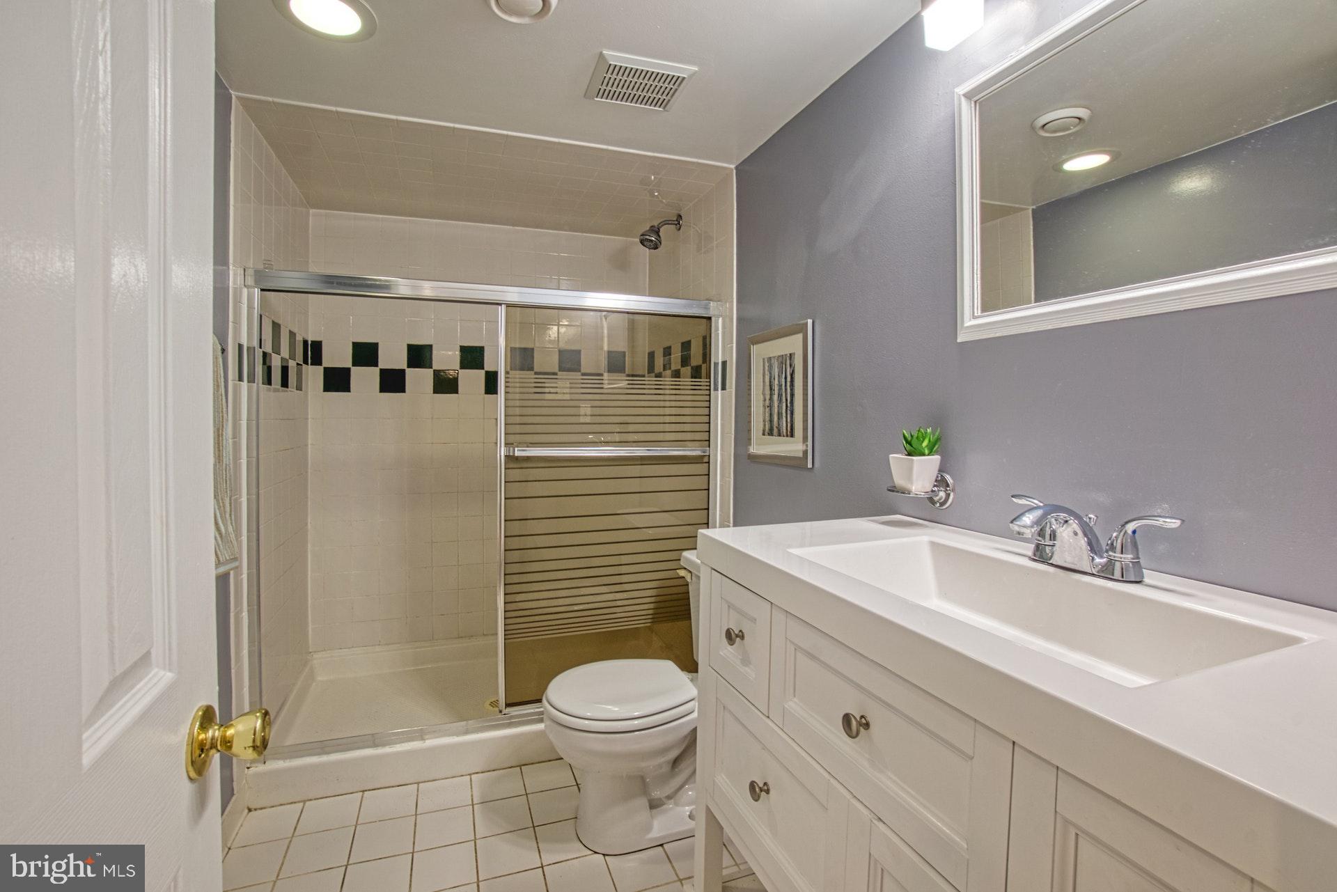 719 Old Hunt Way Herndon, VA 20170 - Photo 39 of 58 Full Lower Level Bathroom