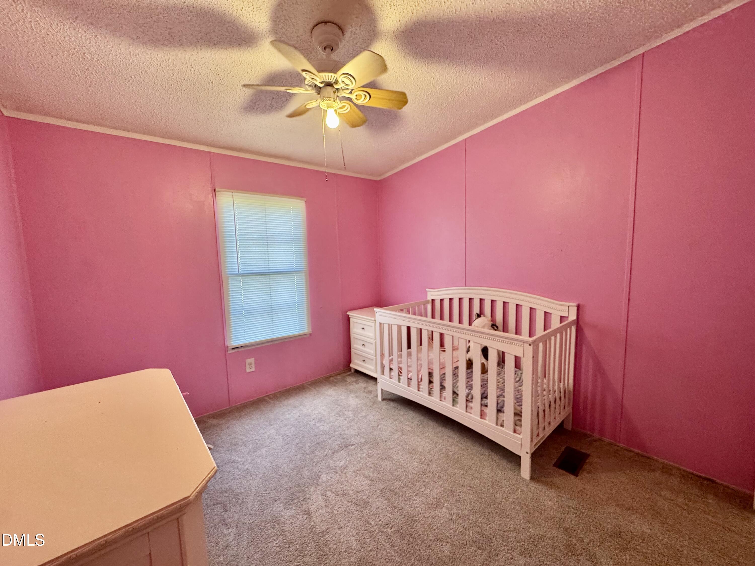 213 New Chestnut Drive Rougemont, NC 27572 - Photo 22 of 33 IMG_7715