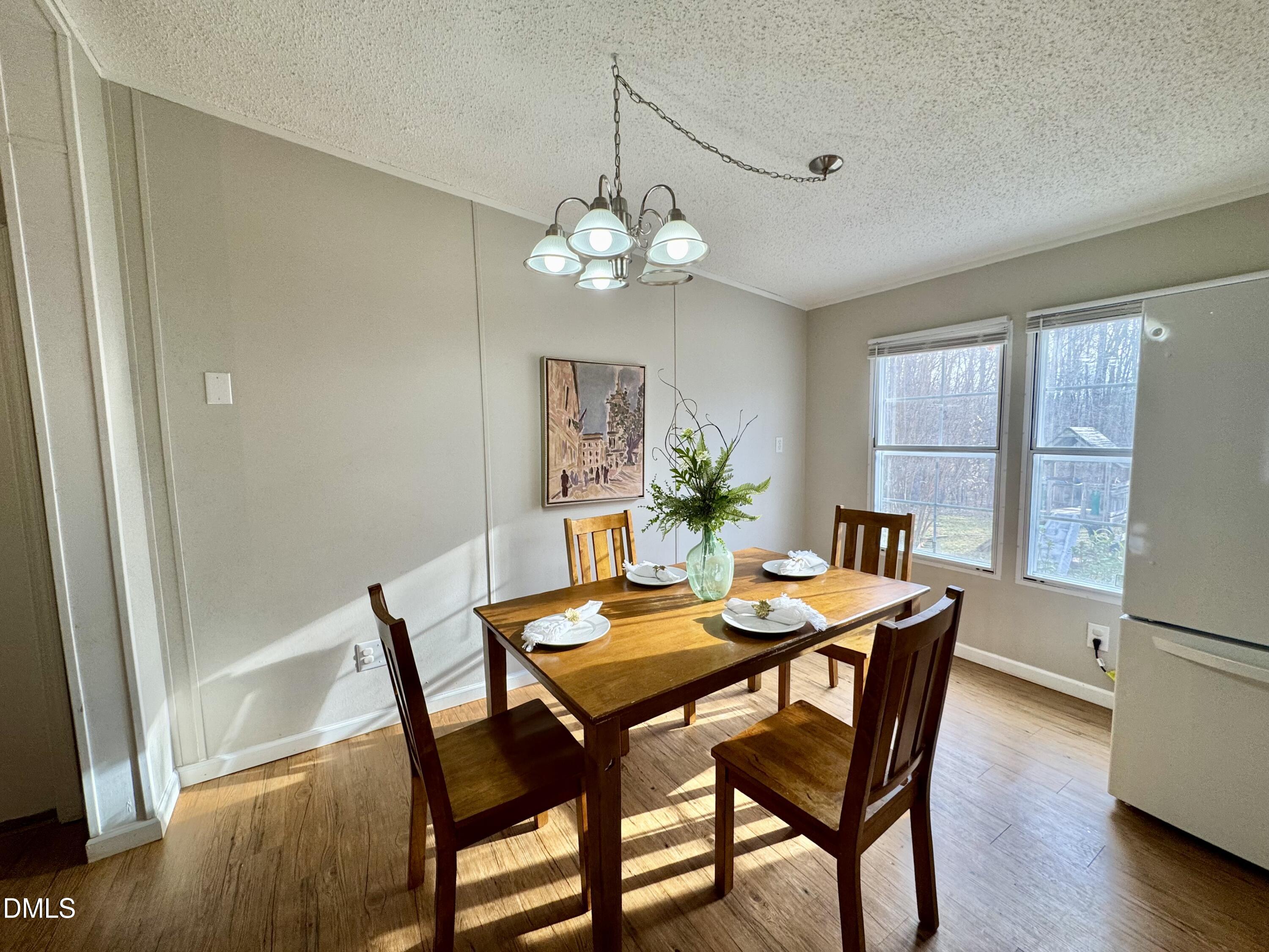 213 New Chestnut Drive Rougemont, NC 27572 - Photo 6 of 33 IMG_7691