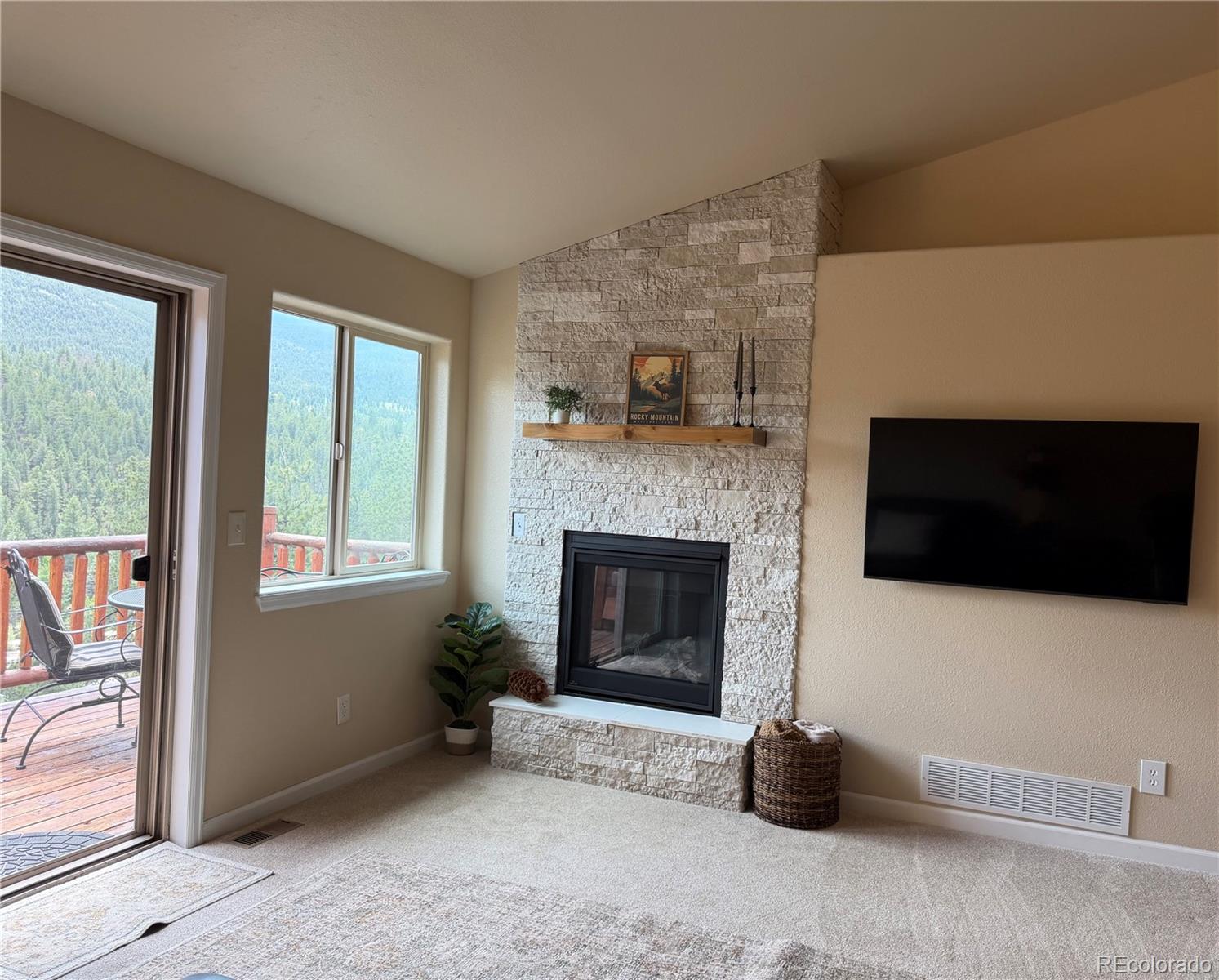 303 Virginia Road, Unit E Bailey, CO 80421 - Photo 10 of 27