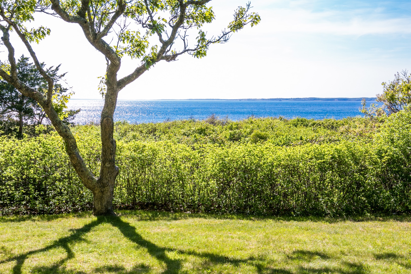38 Forest Road Vineyard Haven, MA 02568 - Photo 2 of 31 Views of Vineyard Sound from the yard.