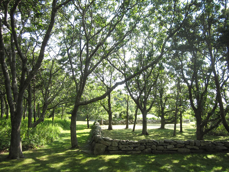 38 Forest Road Vineyard Haven, MA 02568 - Photo 18 of 31 Gallery Image 18