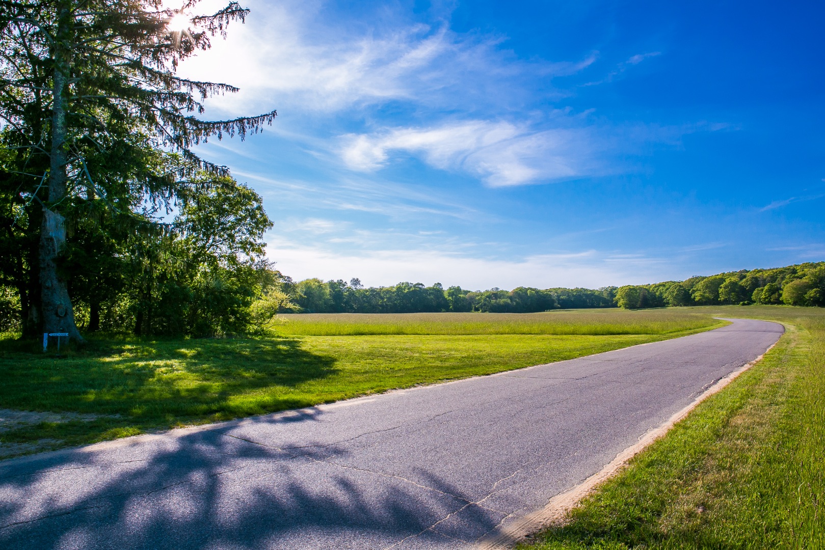 38 Forest Road Vineyard Haven, MA 02568 - Photo 31 of 31 Sweeping, entry drive along Seven Gates Farm's vast fields.