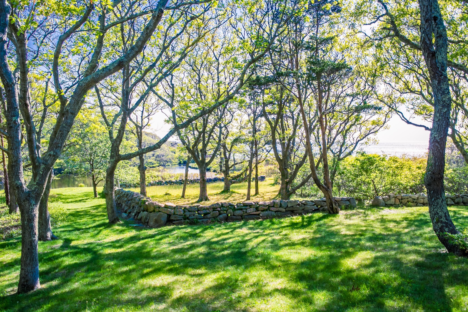 38 Forest Road Vineyard Haven, MA 02568 - Photo 4 of 31 Gallery Image 4