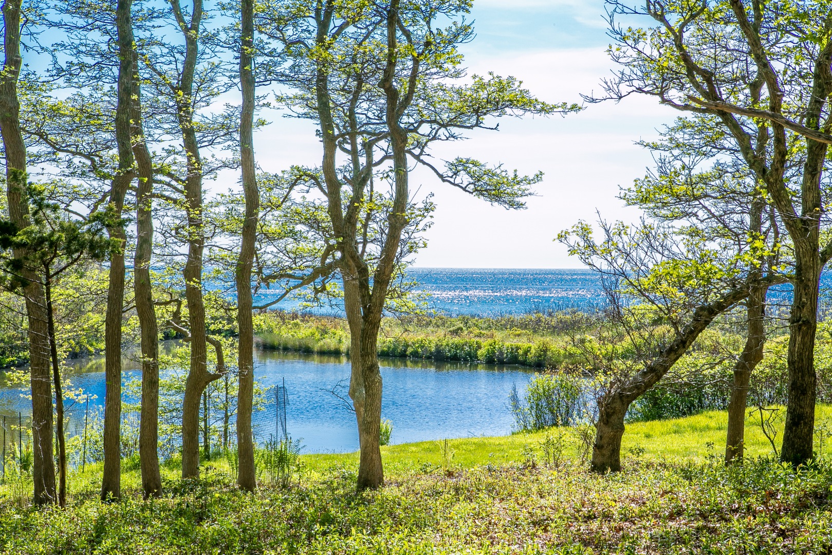 38 Forest Road Vineyard Haven, MA 02568 - Photo 5 of 31 Views across pond to the Sound.