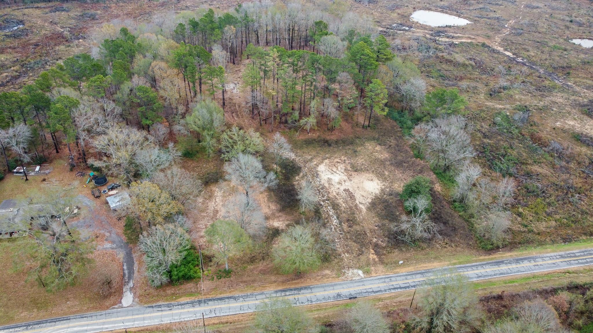 3770 Malone Road South Hernando, MS 38632 - Photo 8 of 11 a view of a yard with plants