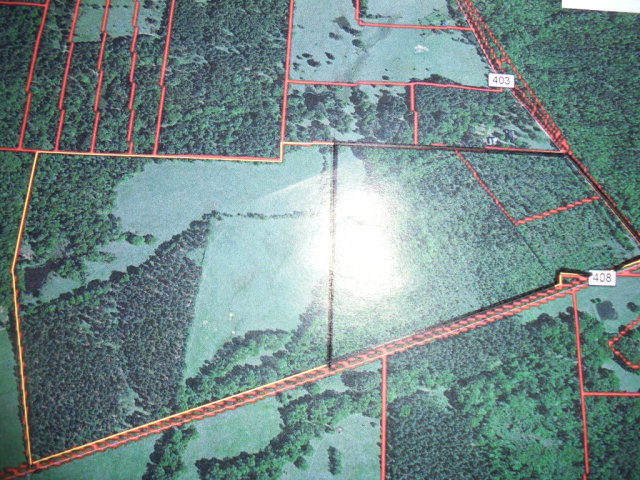 0 An Co Road Palestine, TX 75803 - Photo 1 of 1