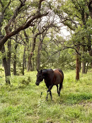 a view of a swimming pool