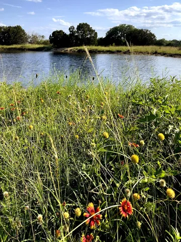 a view of a house with potted plants