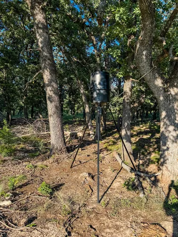 a view of a lake with a city