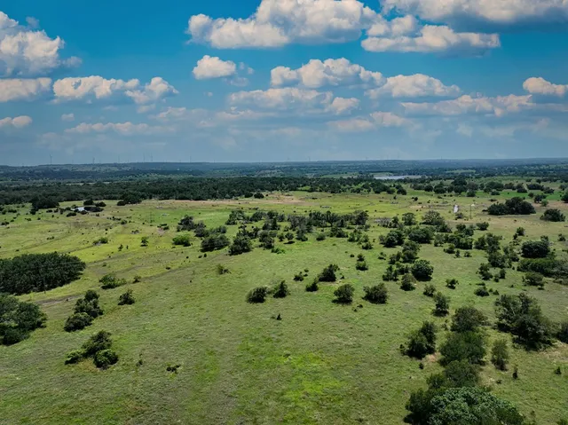 a view of a bunch of trees and houses in it
