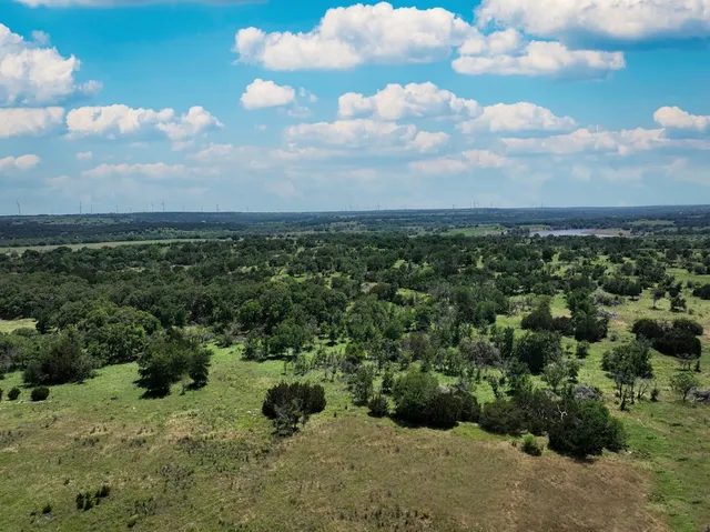 a view of a bunch of trees