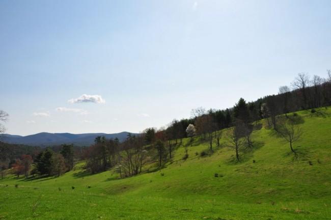 16155 Frost Road Dunmore, WV 24934 - Photo 19 of 35 Gallery Image 19