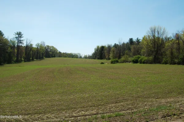 a view of a field with an ocean view