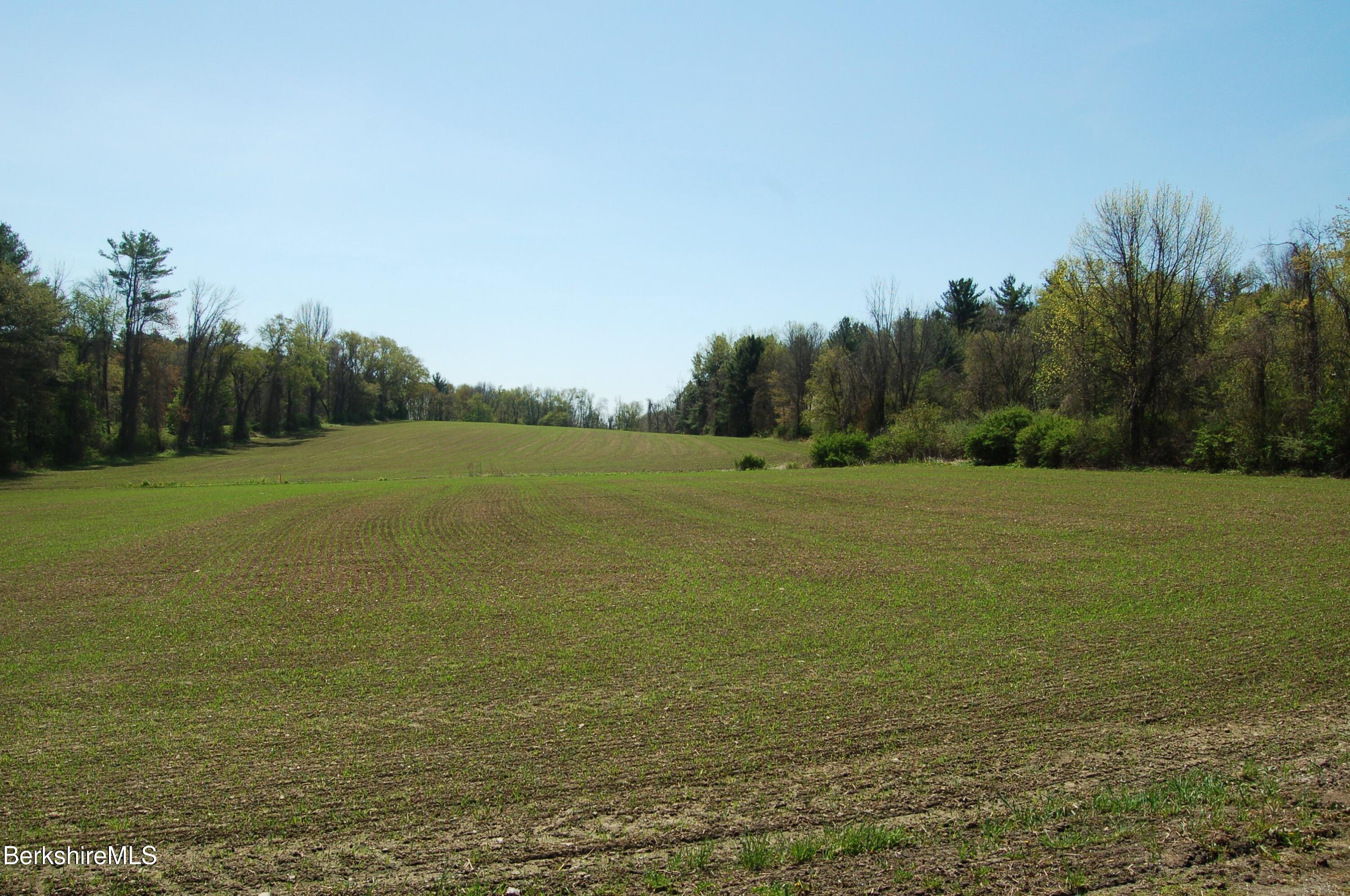 a view of a field with an ocean view