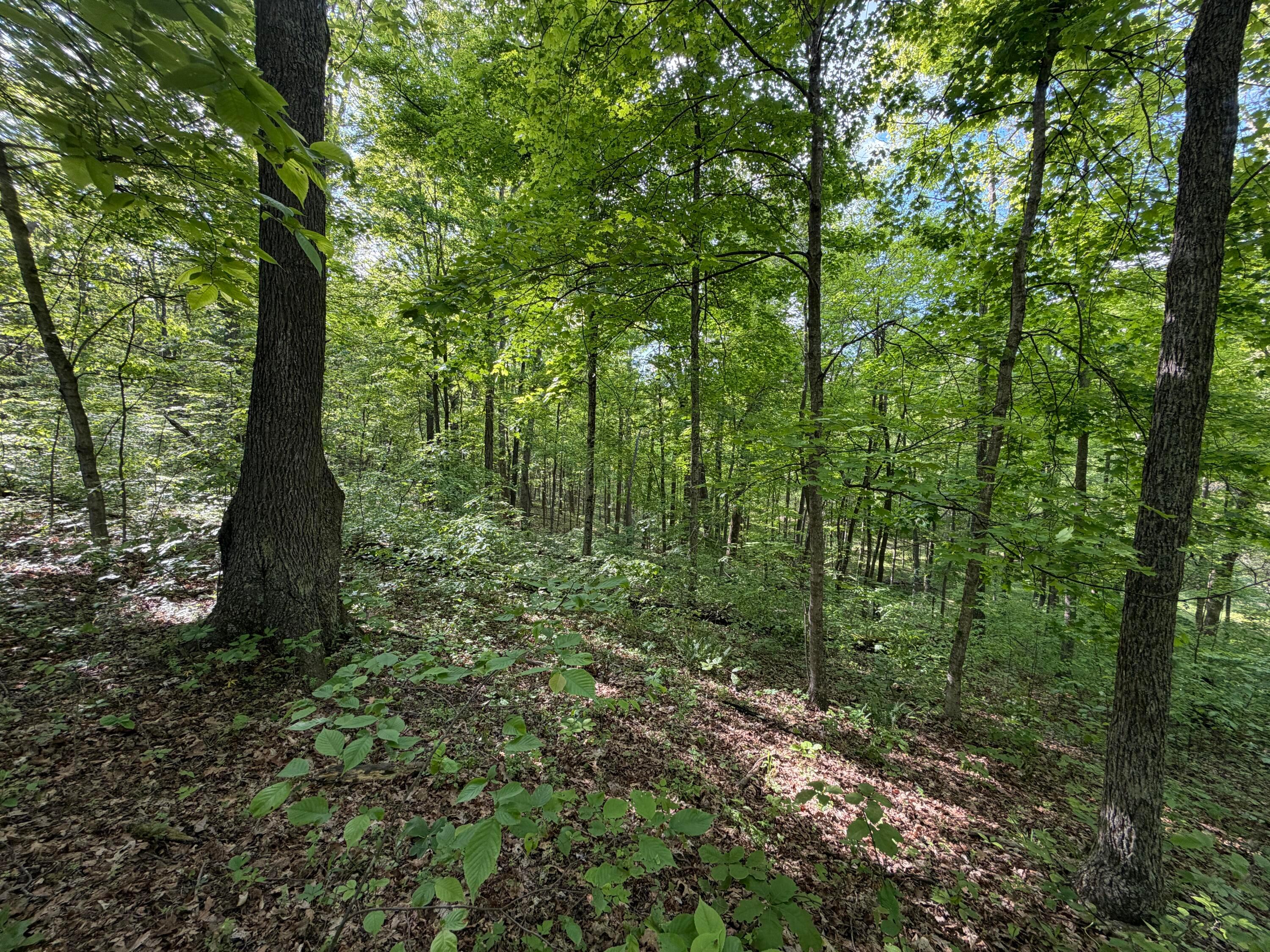 2300 Fairview Road Seaman, OH 45679 - Photo 58 of 70