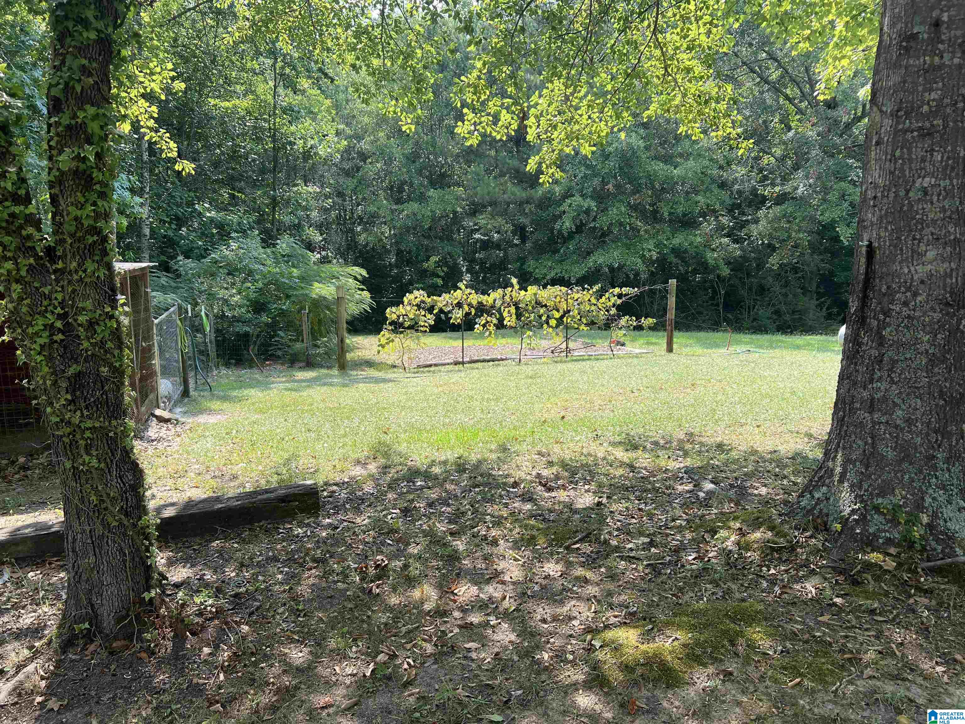 170 Arthur Drive Ohatchee, AL 36271 - Photo 4 of 15