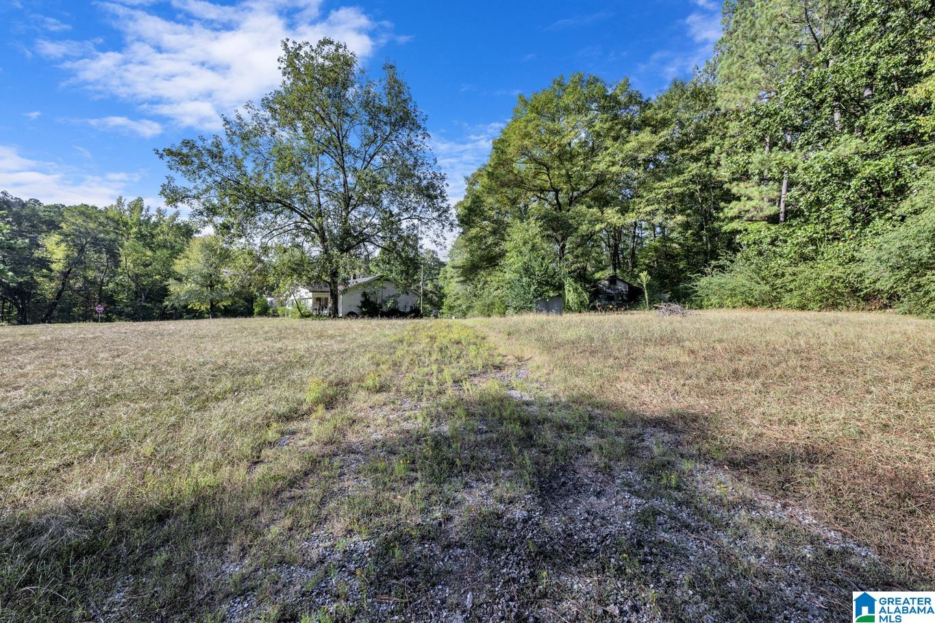 25 Ricetown Road Hayden, AL 35079 - Photo 1 of 12