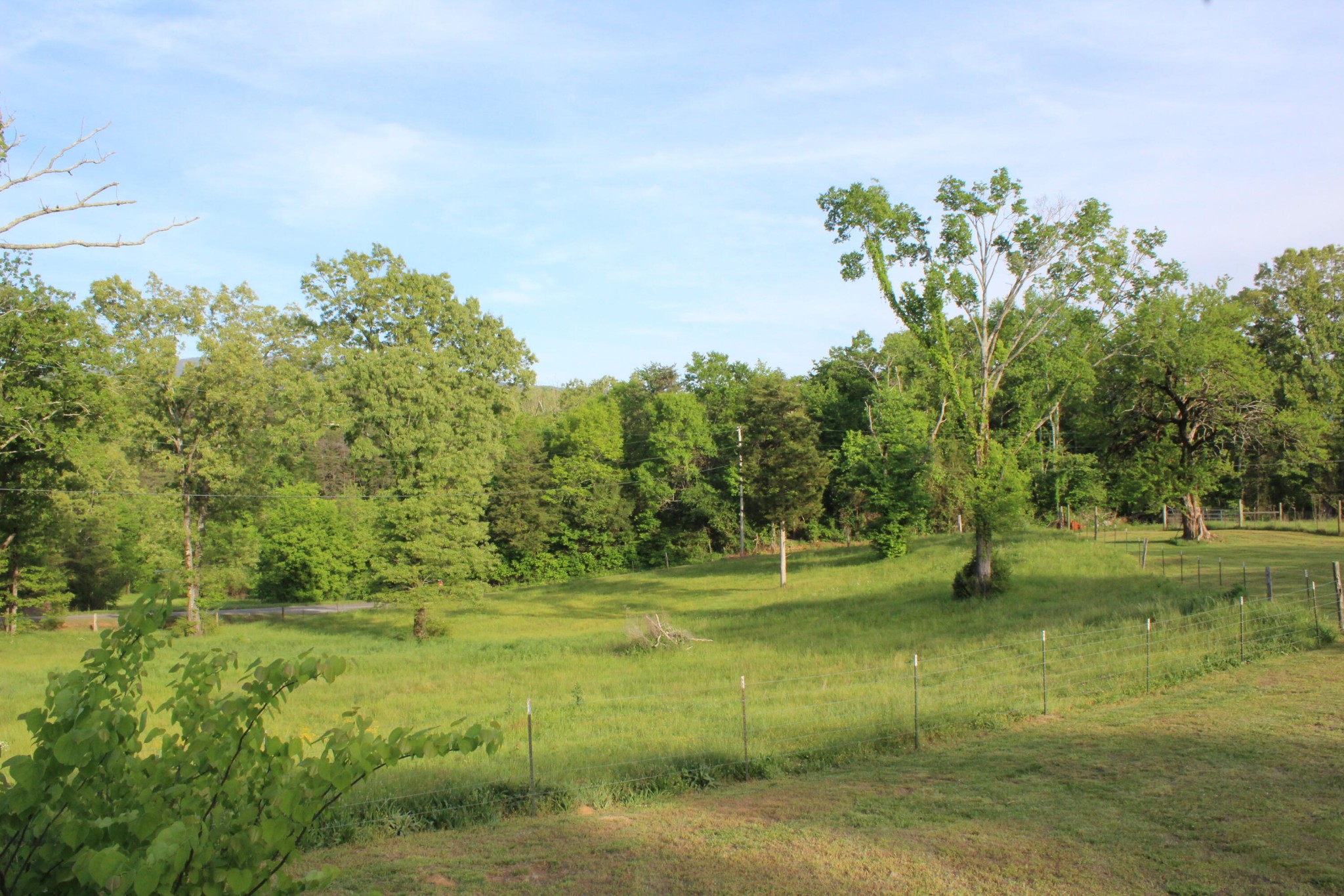 658 Stone Road Benton, TN 37307 - Photo 28 of 30 a view of a grassy field with trees