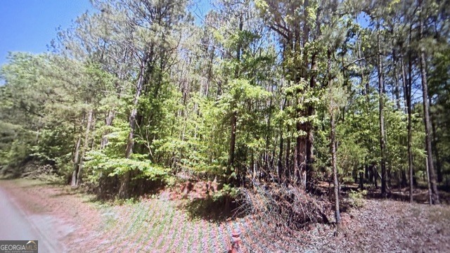 0 Goshen Road Thomaston, GA 30286 - Photo 4 of 18