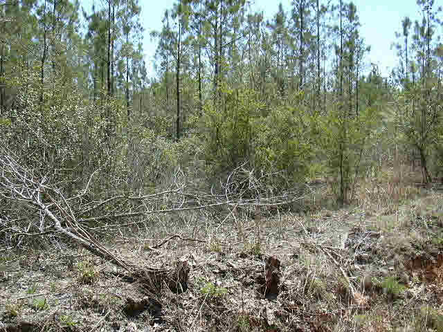 9 John Oliver Road Bay Minette, AL 36507 - Photo 1 of 1