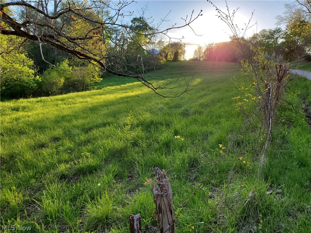 40081 Pleasant Ridge Road Graysville, OH 45734 - Photo 24 of 29 Lower pasture.